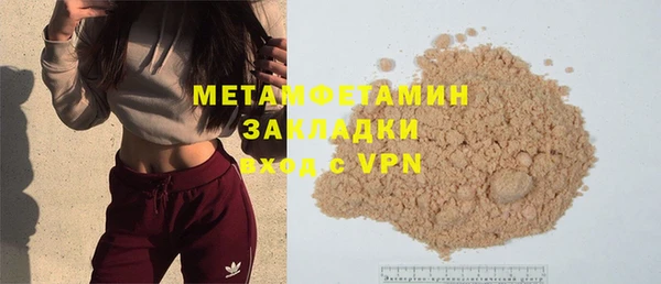 ГАЛЛЮЦИНОГЕННЫЕ ГРИБЫ Богданович