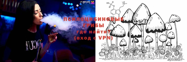 ГАЛЛЮЦИНОГЕННЫЕ ГРИБЫ Белоозёрский