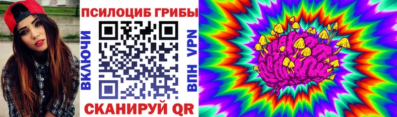 купить наркотики цена  Бологое  блэк спрут tor  Галлюциногенные грибы Psilocybine cubensis 